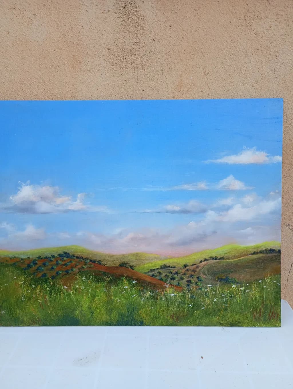 Rolling Hillscape