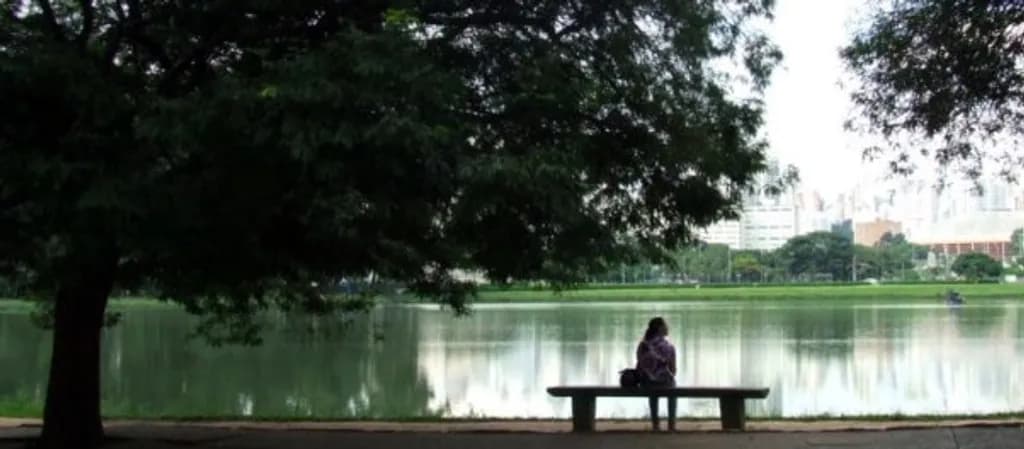 Laguna en Ibirapuera