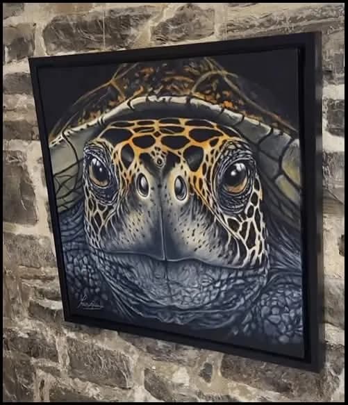 Majestic Gaze: A Close-Up Portrait of a Sea Turtle