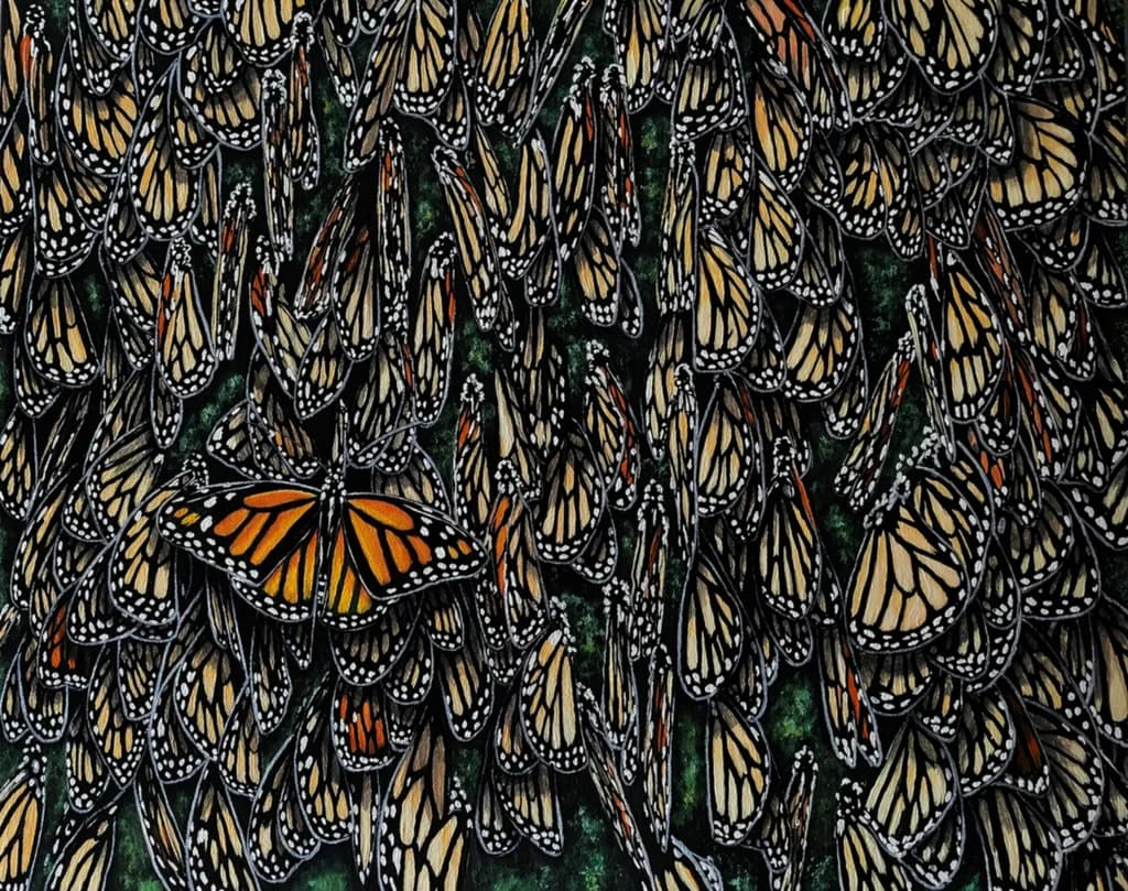 Monarch Cluster