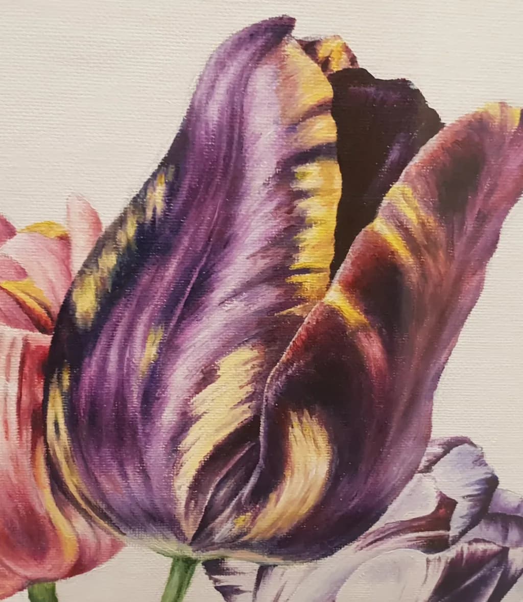 Whispers of Twilight: A Majestic Purple Tulip in Bloom