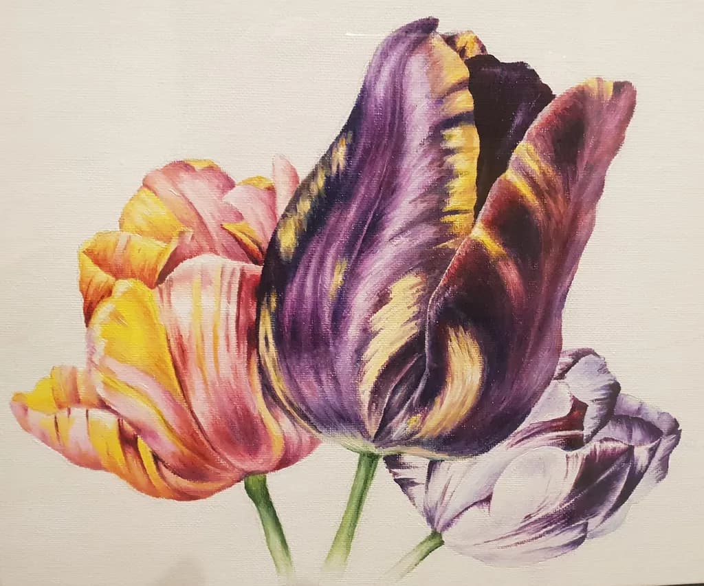Tulips