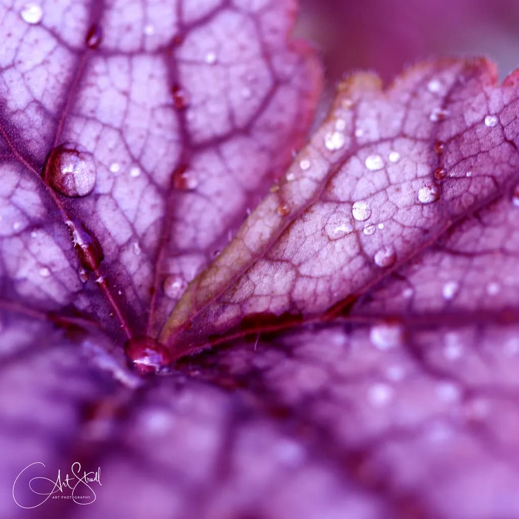 Veins of Life