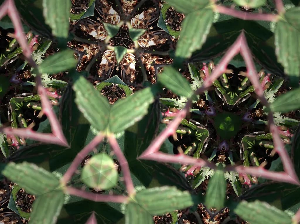 Kaleidoscope of Hope