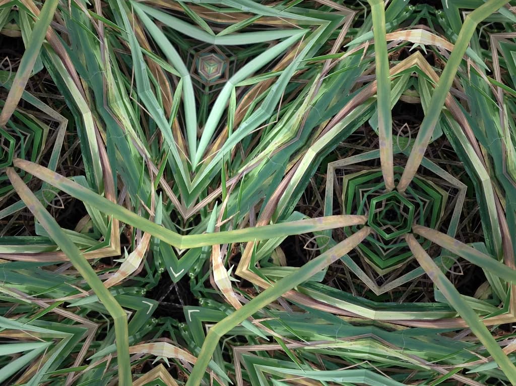 Fractal Winter