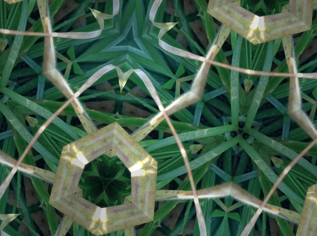Nature's Geometry