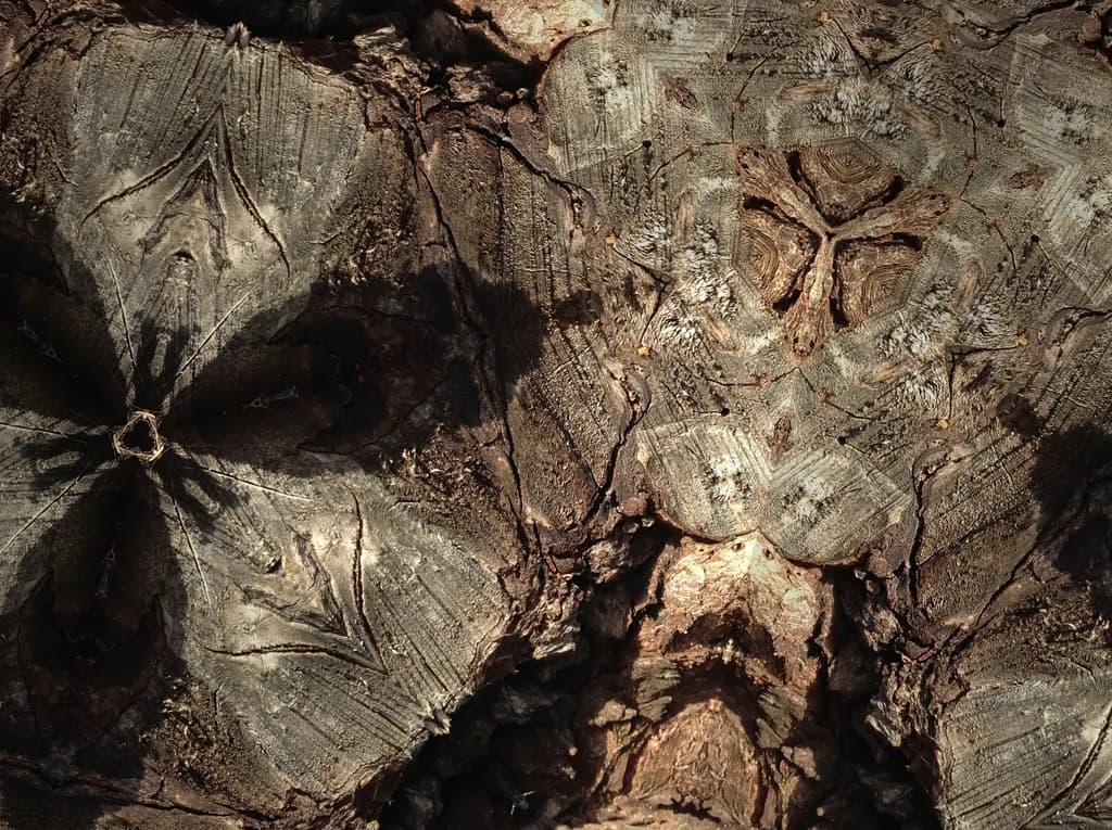 Nature's Tapestry