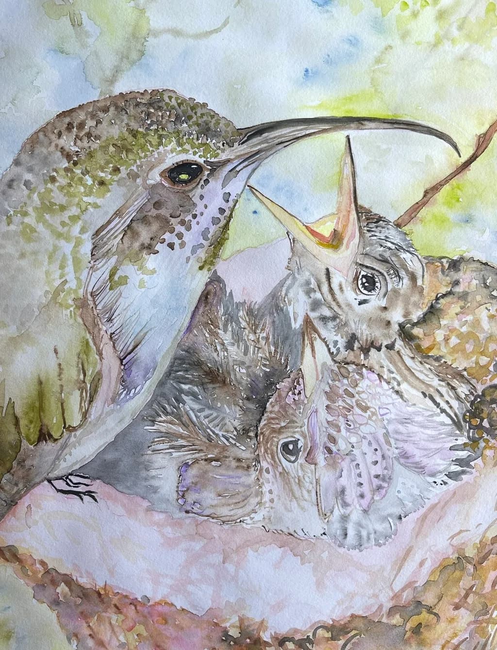 Nest Nourishment
