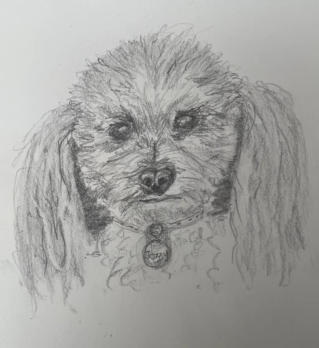 Whiskered Whimsy: A Charcoal Portrait of Canine Charm