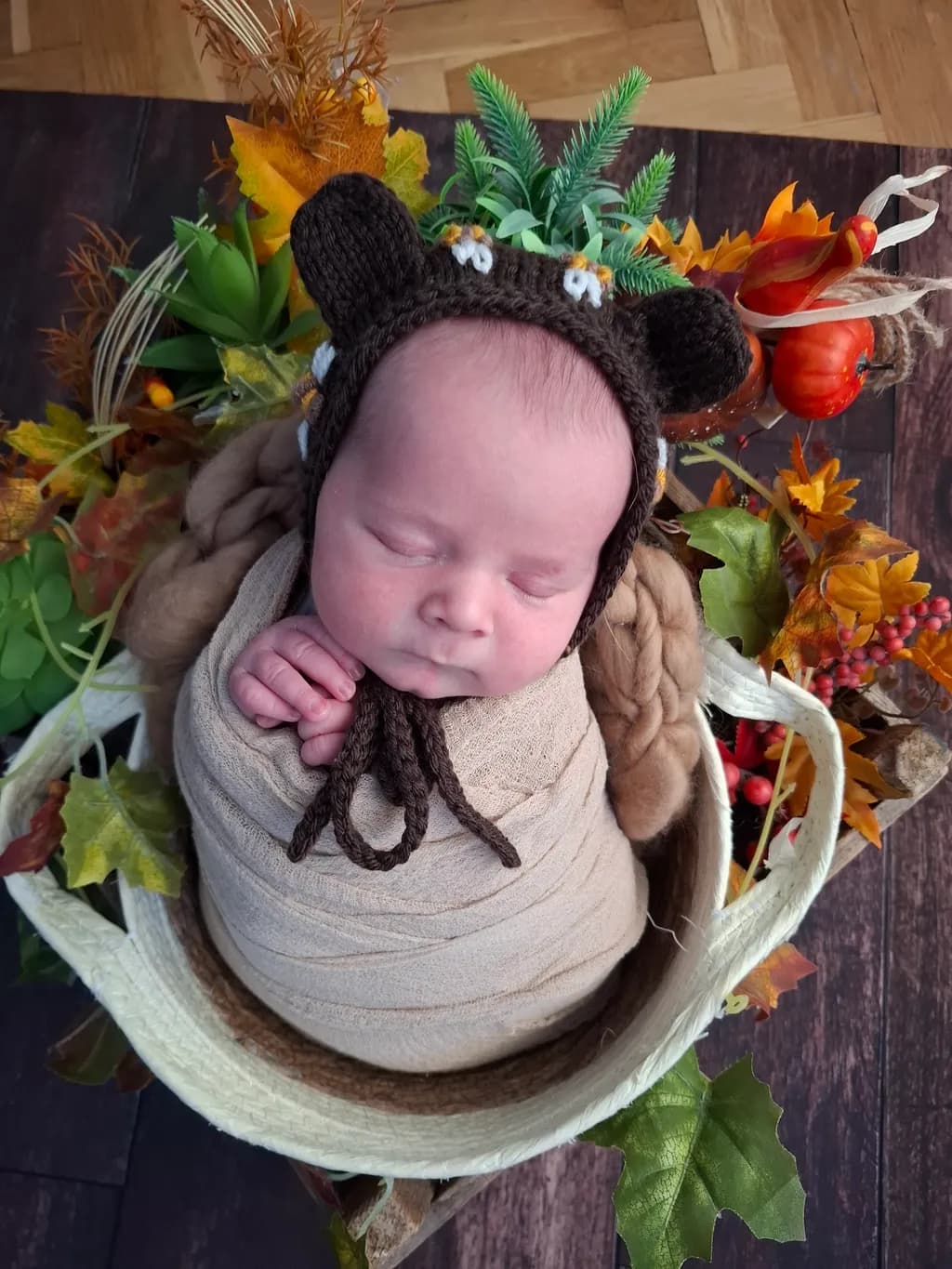 Whimsical Autumn Bear: A Cozy Newborn Portrait Wrapped in Nature's Embrace