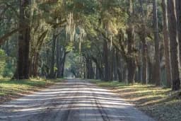 Botany Bay Road