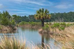 Bear Island Marsh