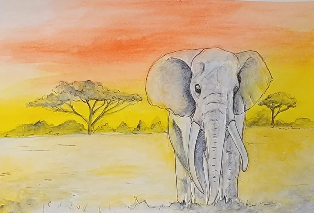 Elephant Sunset