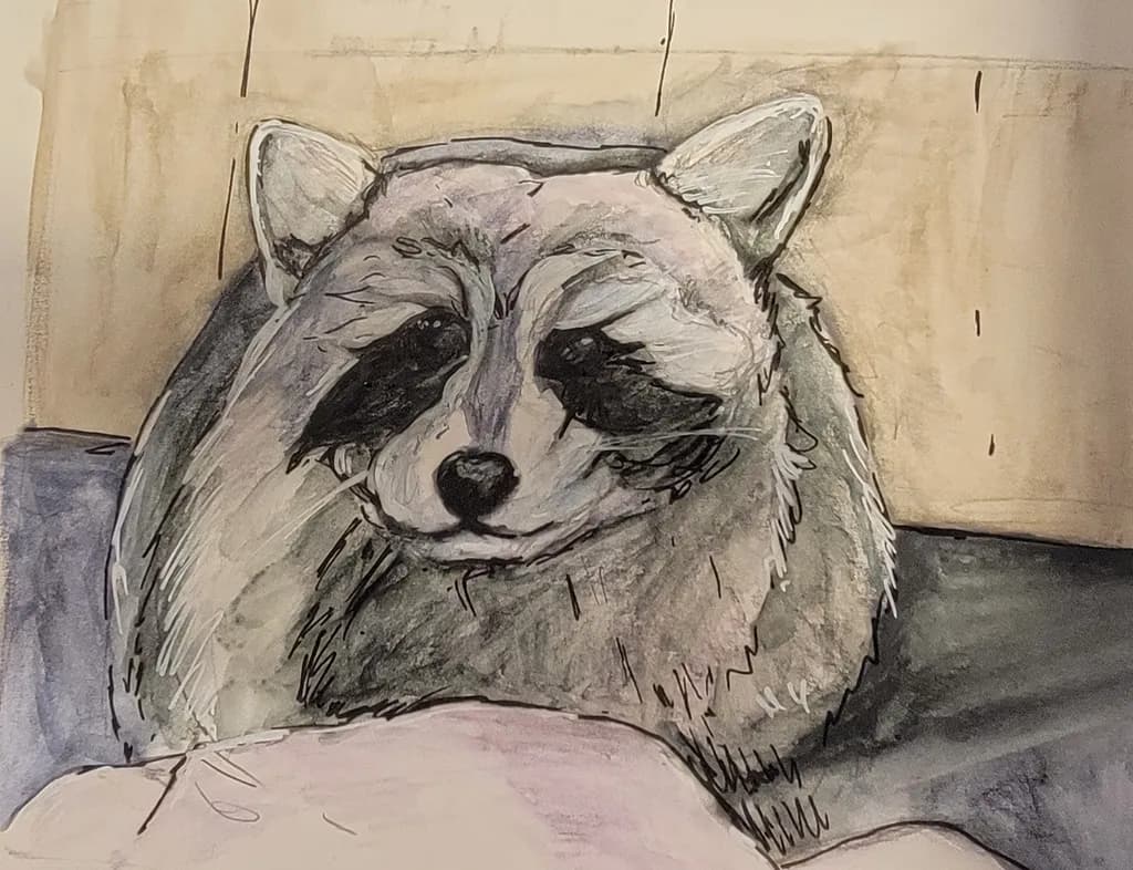 Raccoon Portrait