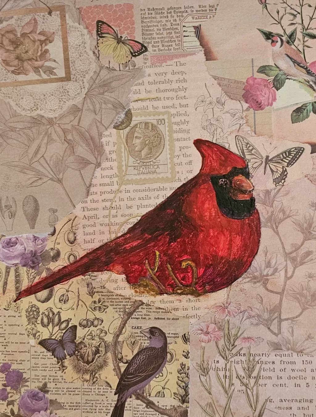 Cardinal Collage