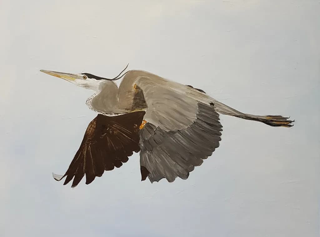 Gliding Heron