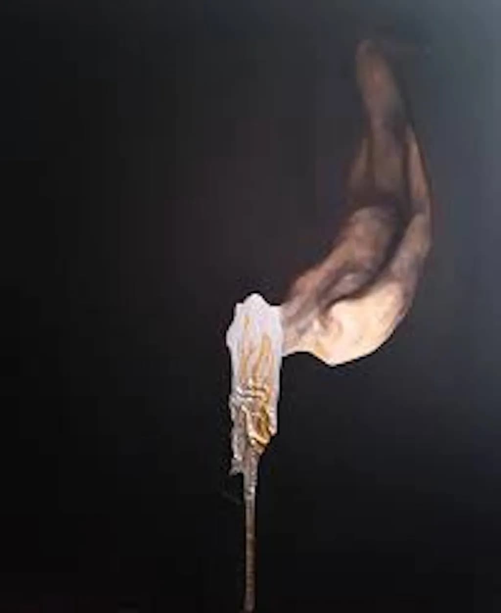 Fluid Shadows: An Abstract Dance of Form and Contrast