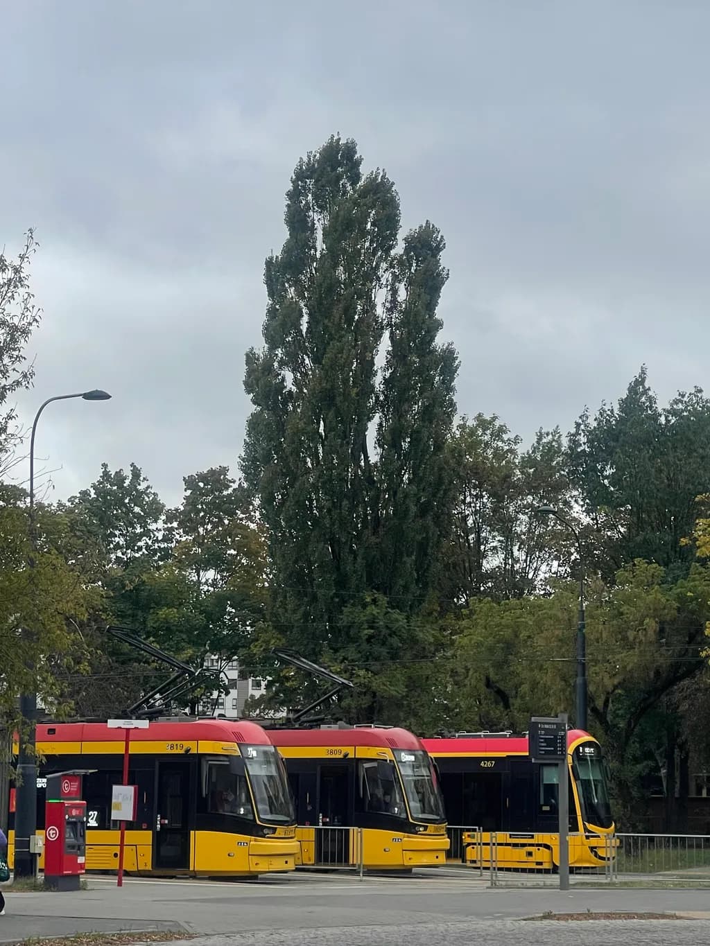 Urban Symphony: Trams and Trees in Harmony Amidst a Cloudy Sky