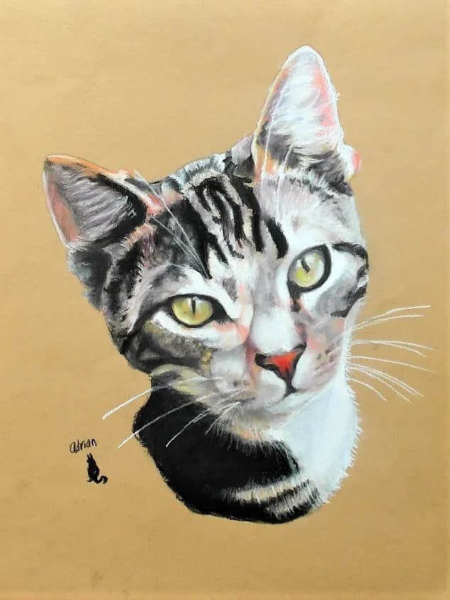 Whiskered Gaze: A Realistic Portrait of Feline Expression