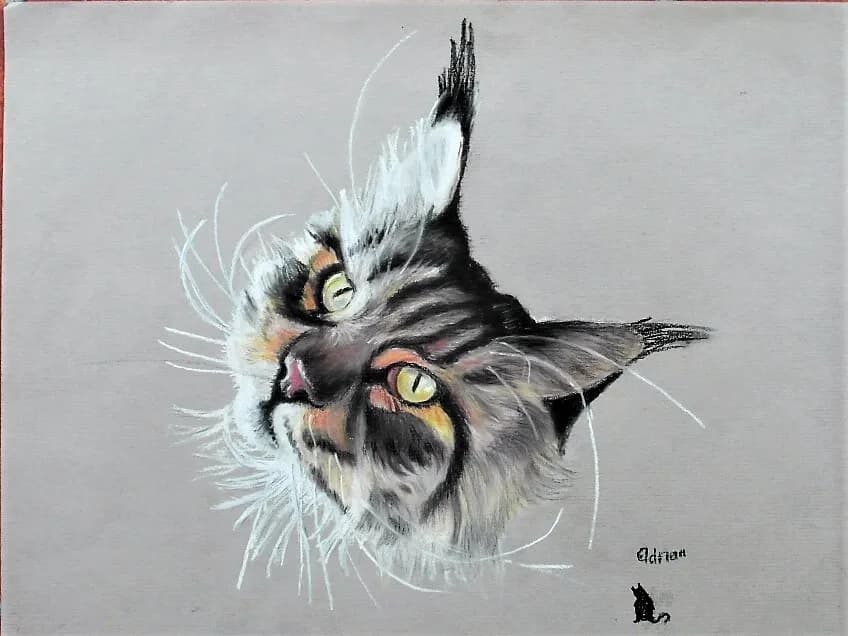 Whiskered Wonder: A Realistic Portrait of Feline Expression