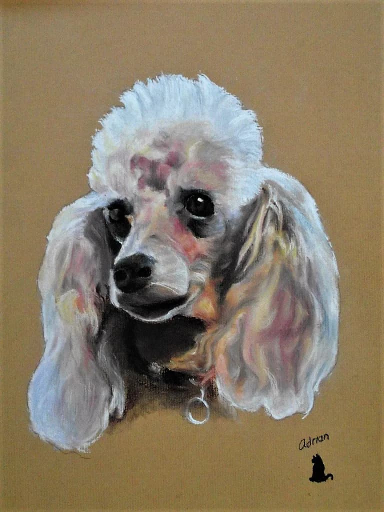 Whimsical Whispers: A Portrait of a Playful Poodle