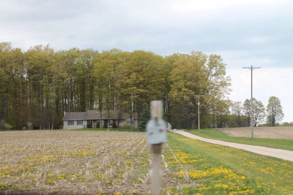 Whispers of the Countryside: A Serene Journey Through Fields and Trees