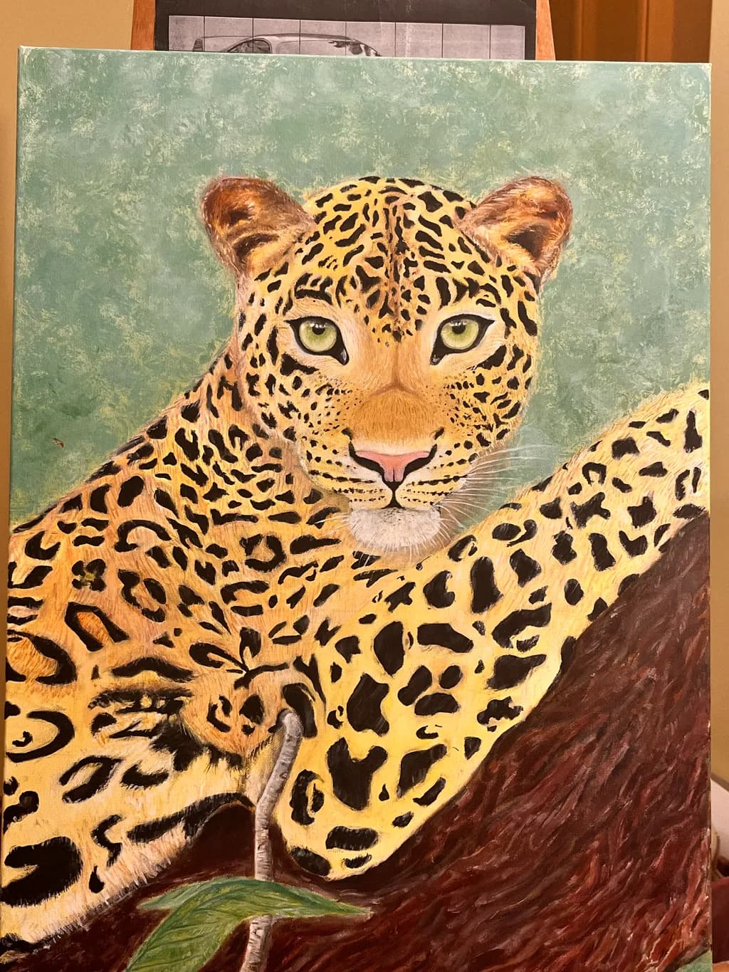 Majestic Gaze: The Enigmatic Leopard in Nature's Embrace