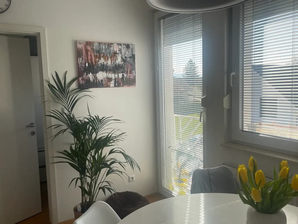Morning Light Dining