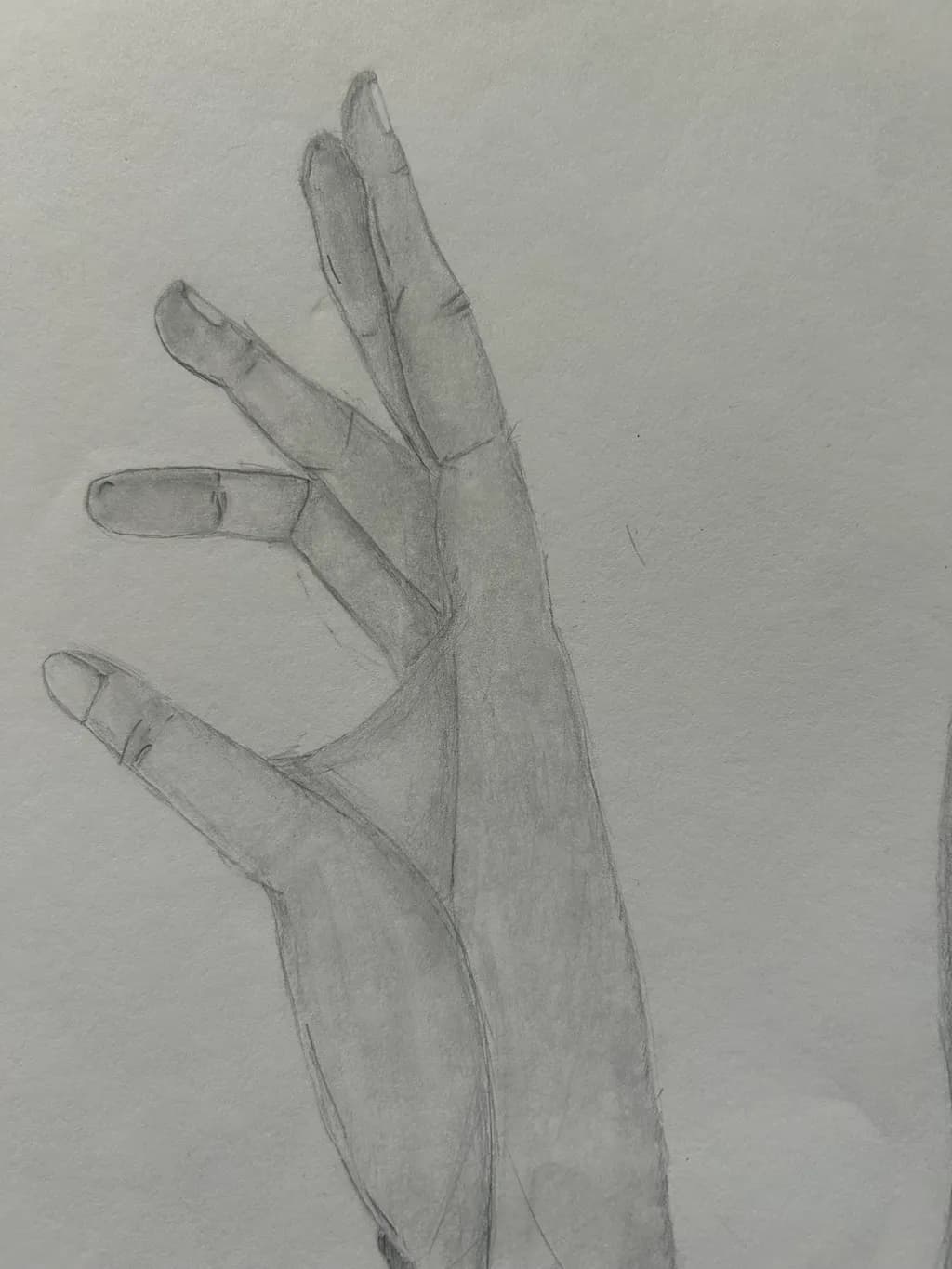 Whispers of Gesture: A Delicate Study of Human Hands in Pencil Sketch Form