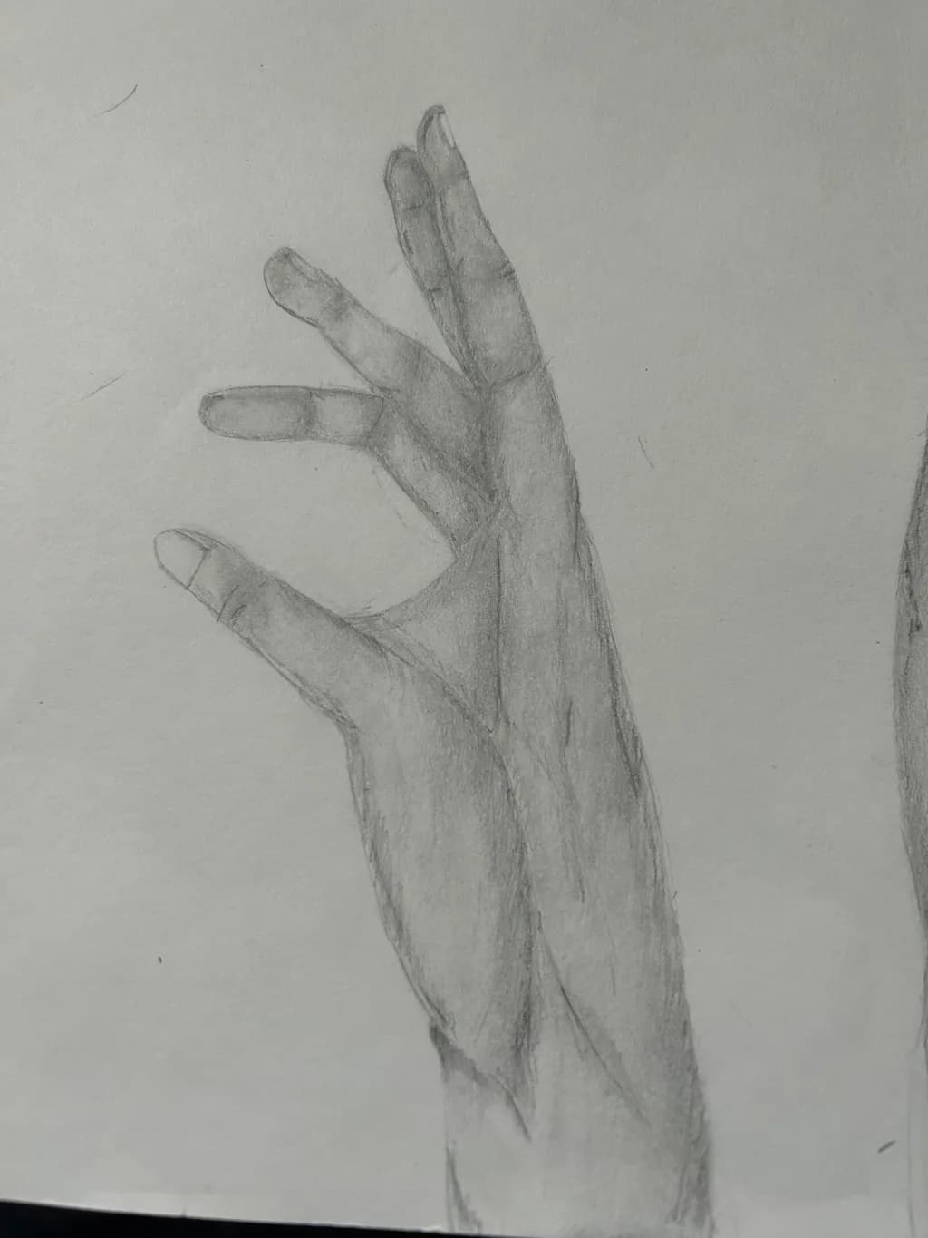 Graceful Gesture: A Study of Human Expression in Pencil Sketch Form