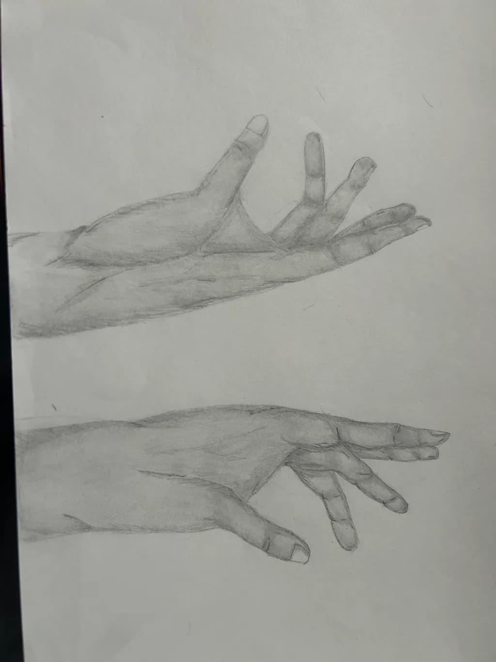 Graceful Gestures: A Study of Human Hands in Pencil Sketch Form
