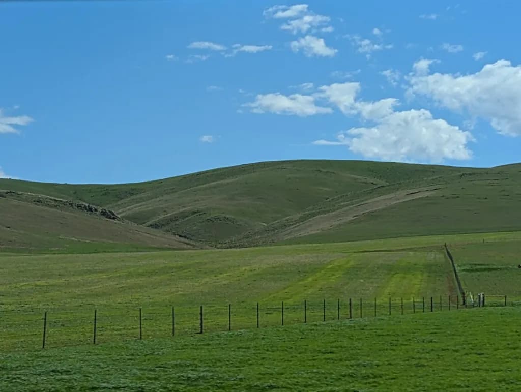 Rolling Green Expanse