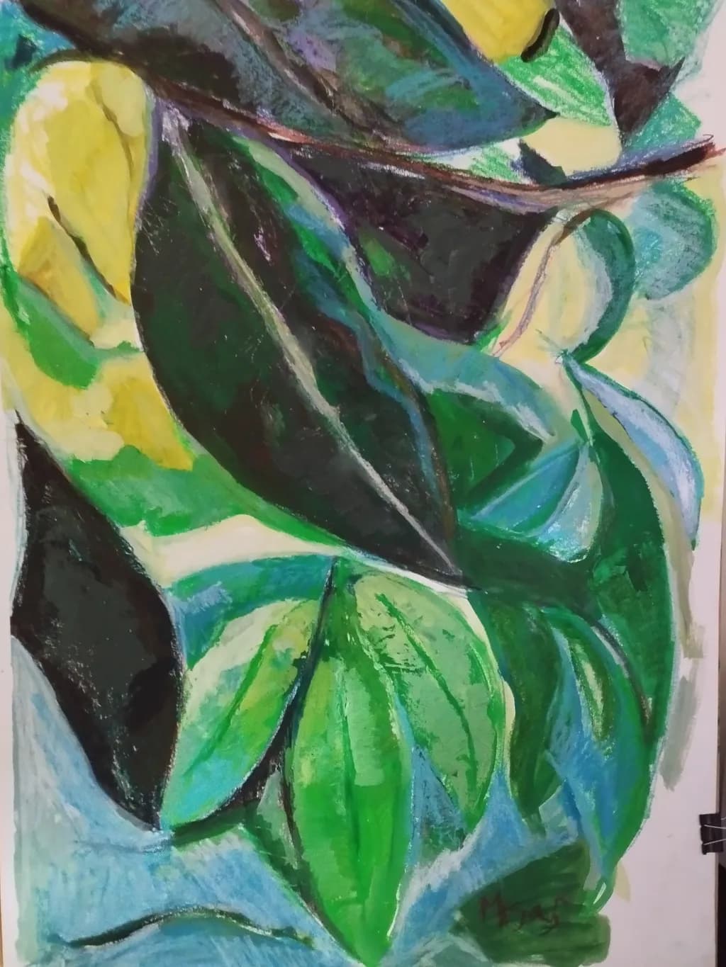 Lush Green Symphony: A Vibrant Dance of Leaves and Light