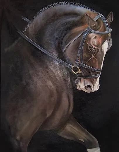 Majestic Equine Elegance: A Realistic Portrait of a Black Horse in Bridle