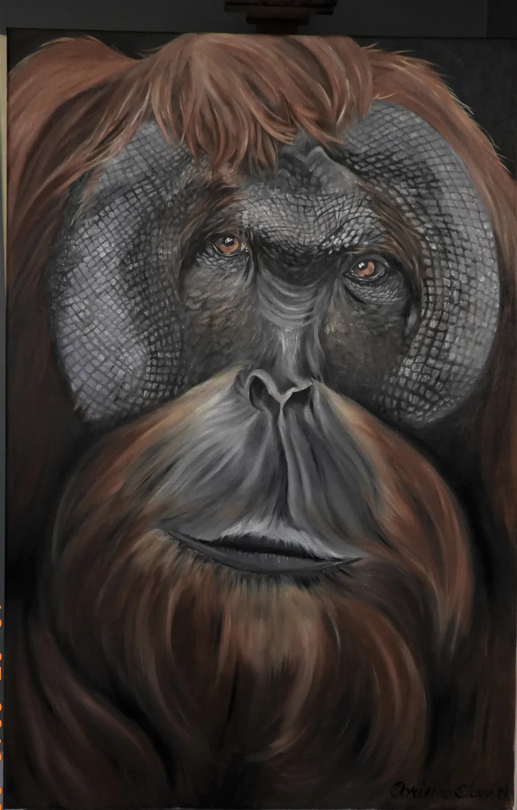 Majestic Gaze: A Realistic Portrait of an Orangutan's Expression