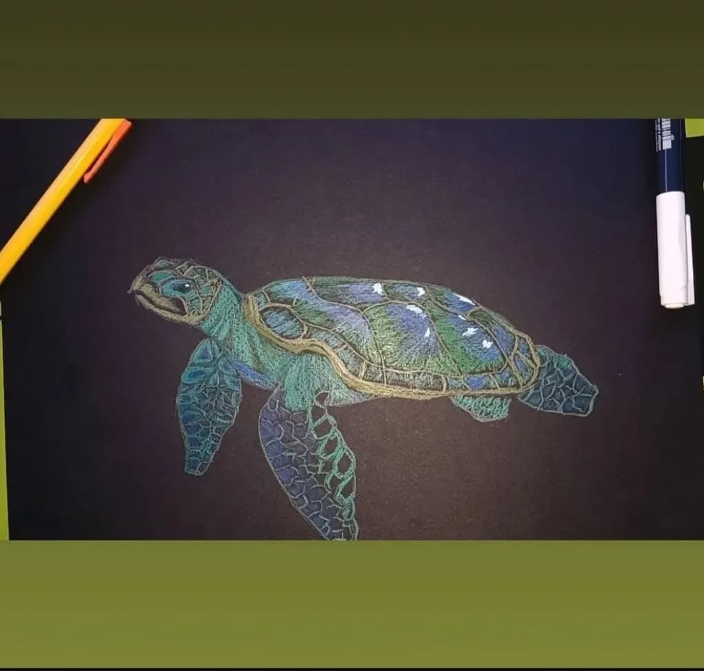 Colorful Marine Turtle: A Vibrant Illustration of Ocean Life
