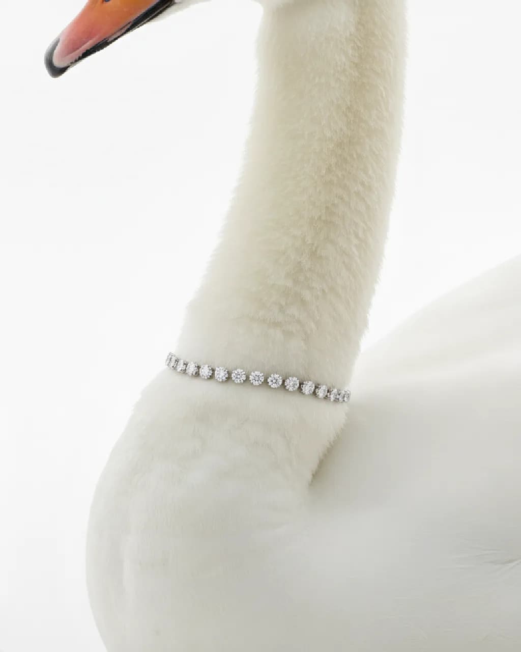 Elegant Grace: A Swan Adorned in Sparkling Beauty