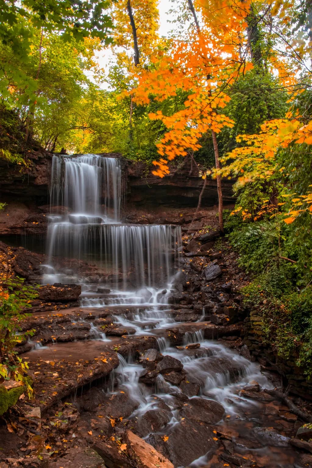 Whispers of Autumn: A Serene Waterfall Amidst Golden Leaves