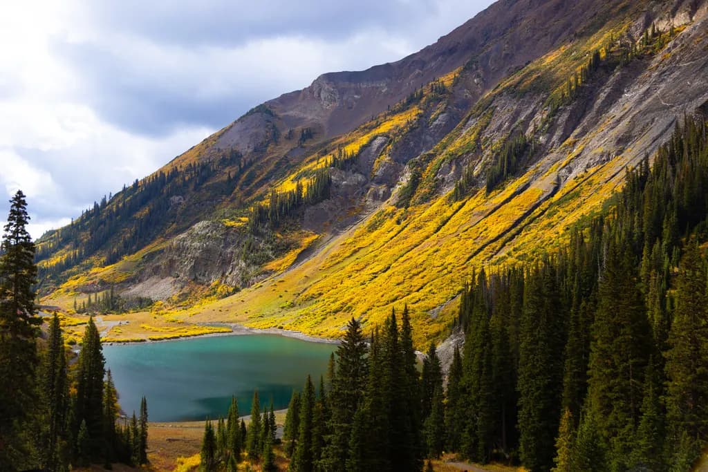 Autumn Reflections