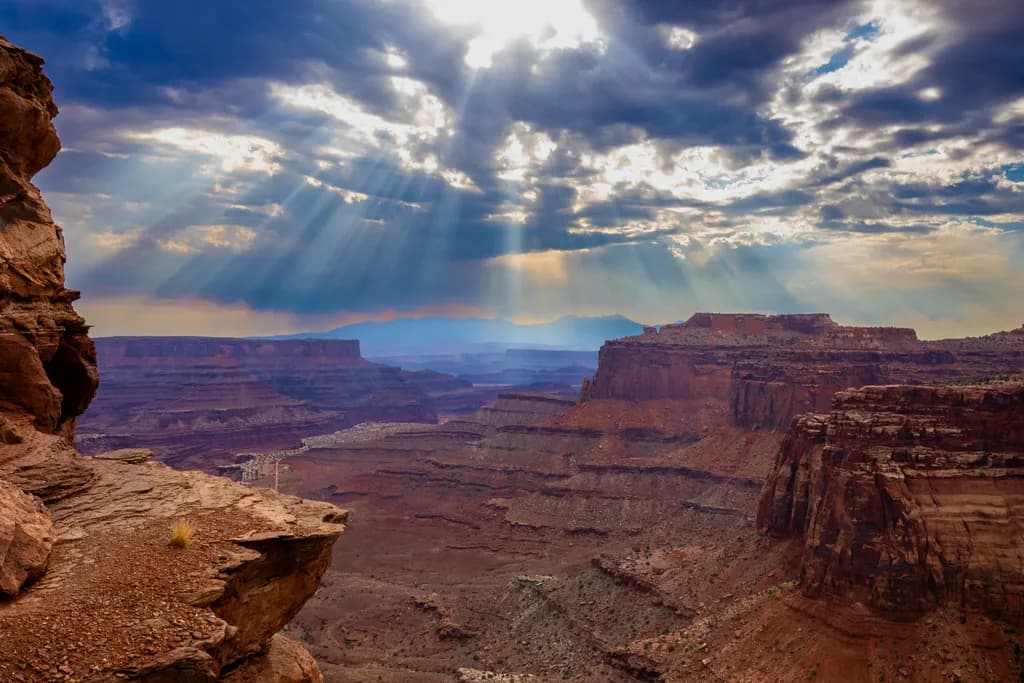 Canyon Rays