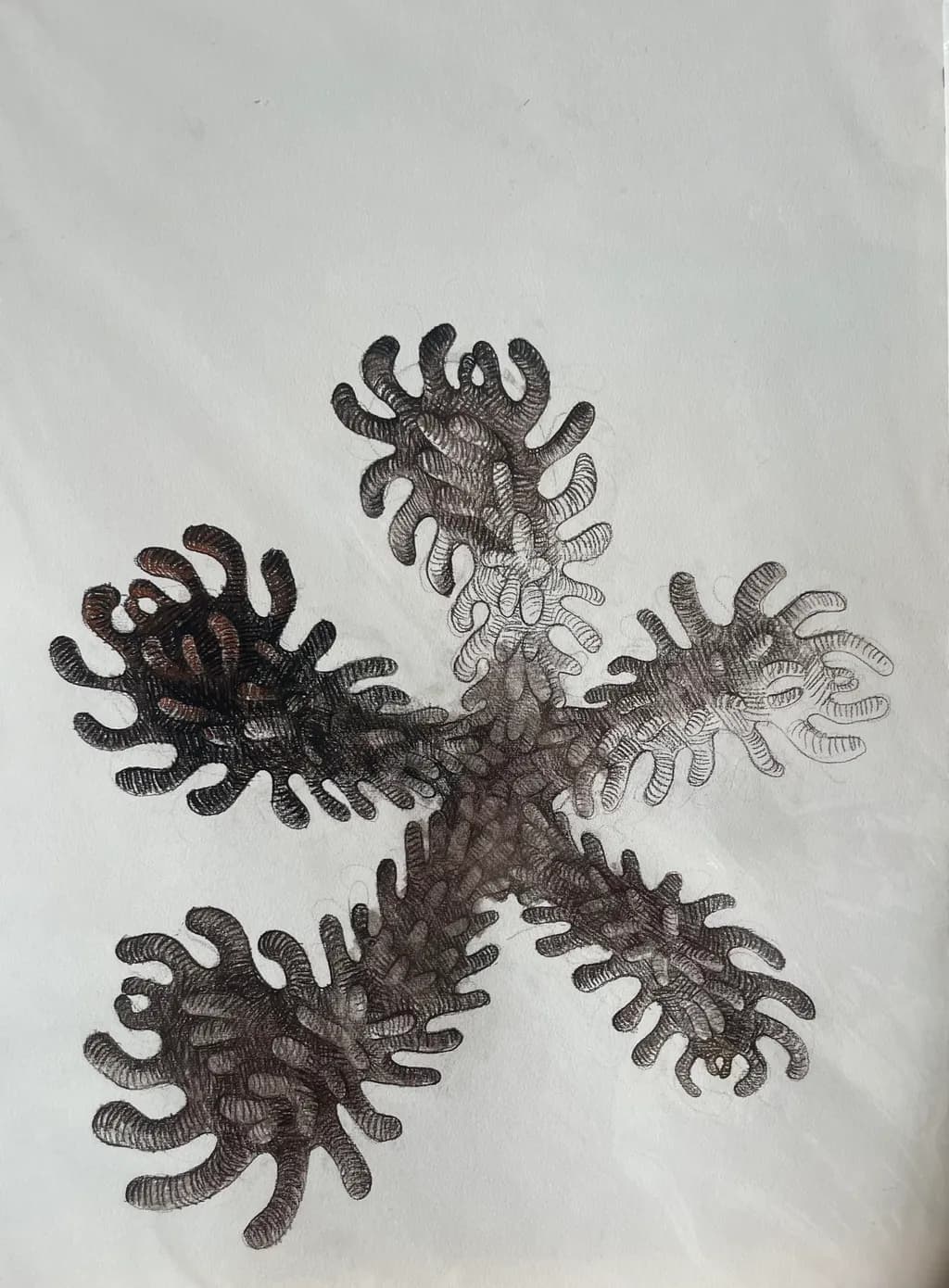 Intricate Dance of Shadows: A Study in Organic Forms and Textures