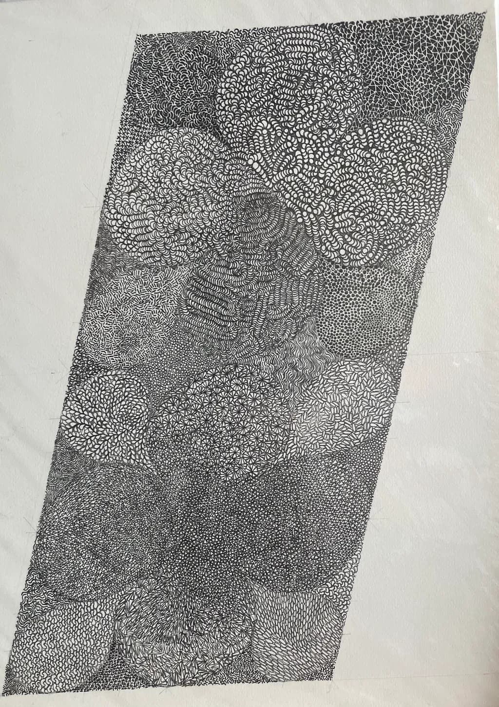 Whispers of Texture: An Intricate Dance of Patterns in Black and White