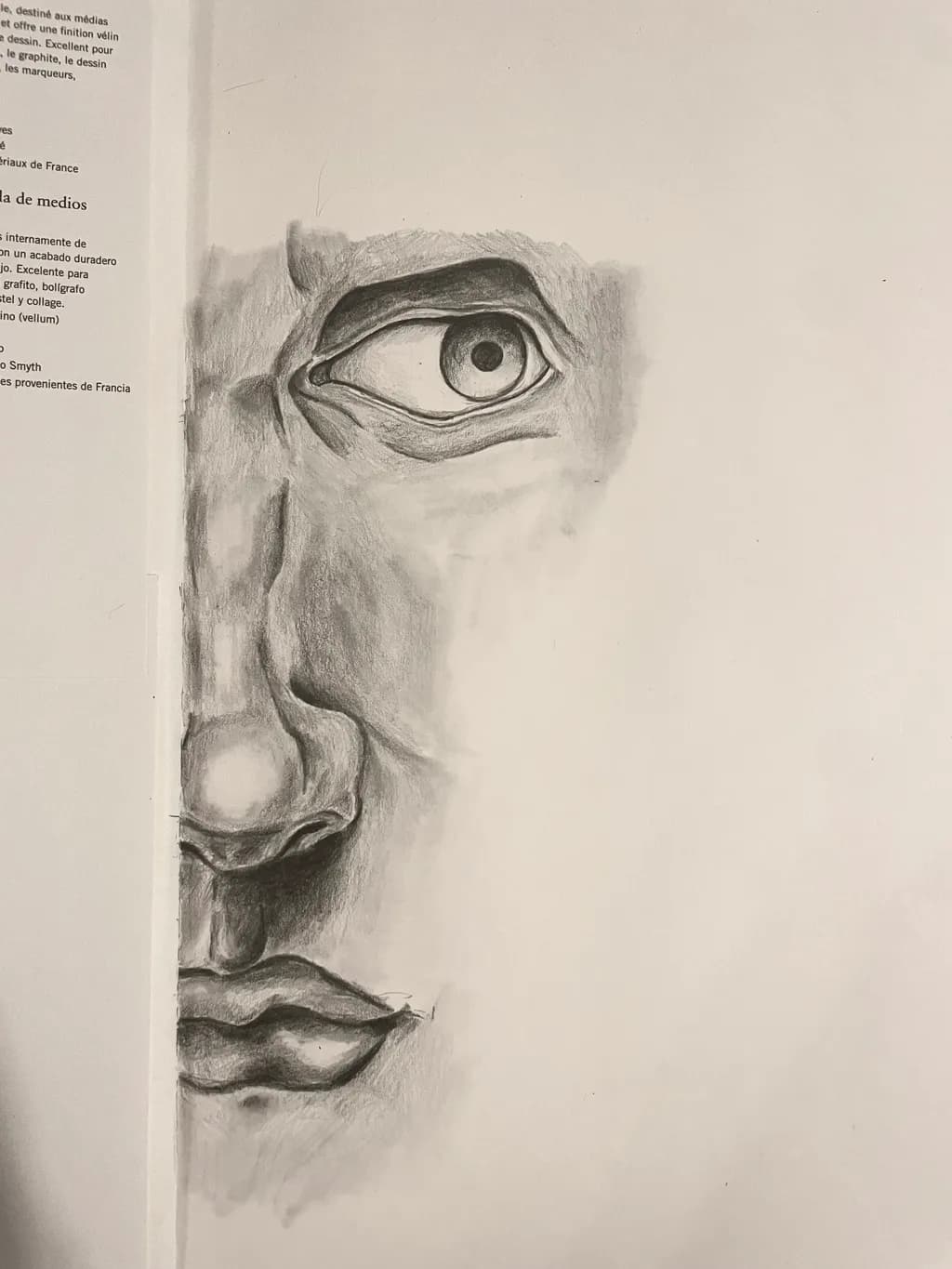 Monochrome Reflections: A Realistic Portrait of Expression and Detail