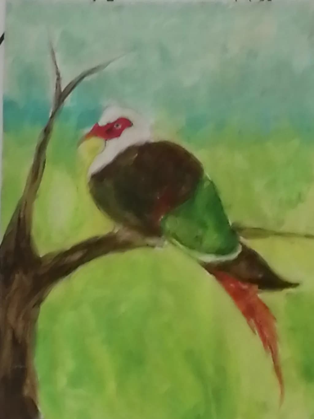 Vibrant Harmony: A Colorful Bird Perched in Nature's Embrace