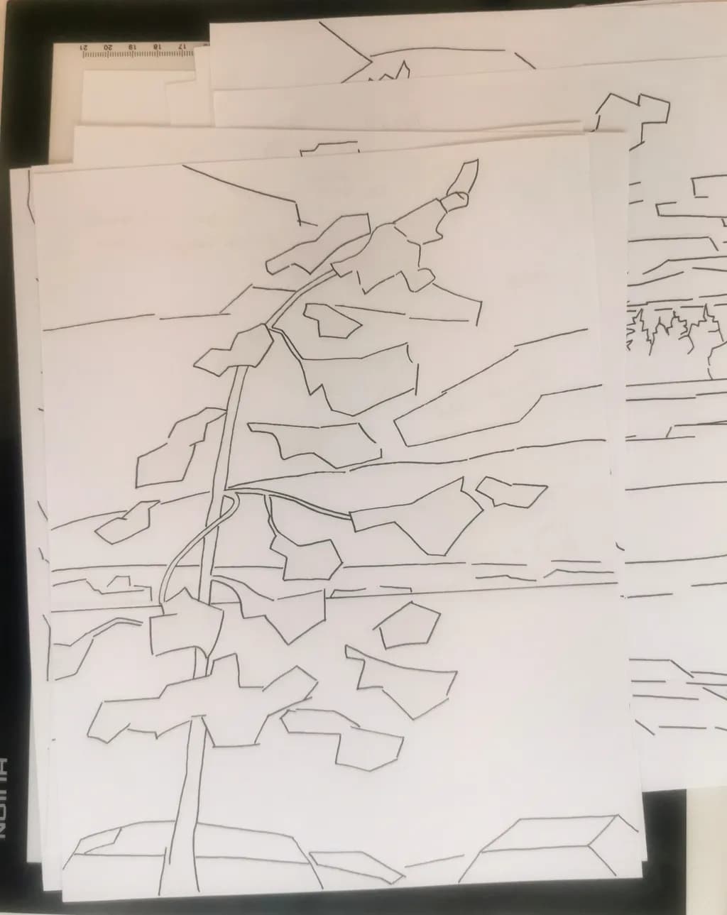 Fragmented Branches