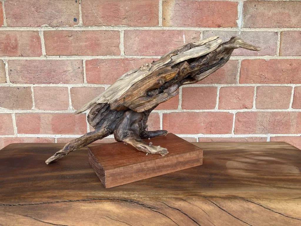 Whispers of Nature: A Sculptural Journey Through Driftwood Elegance
