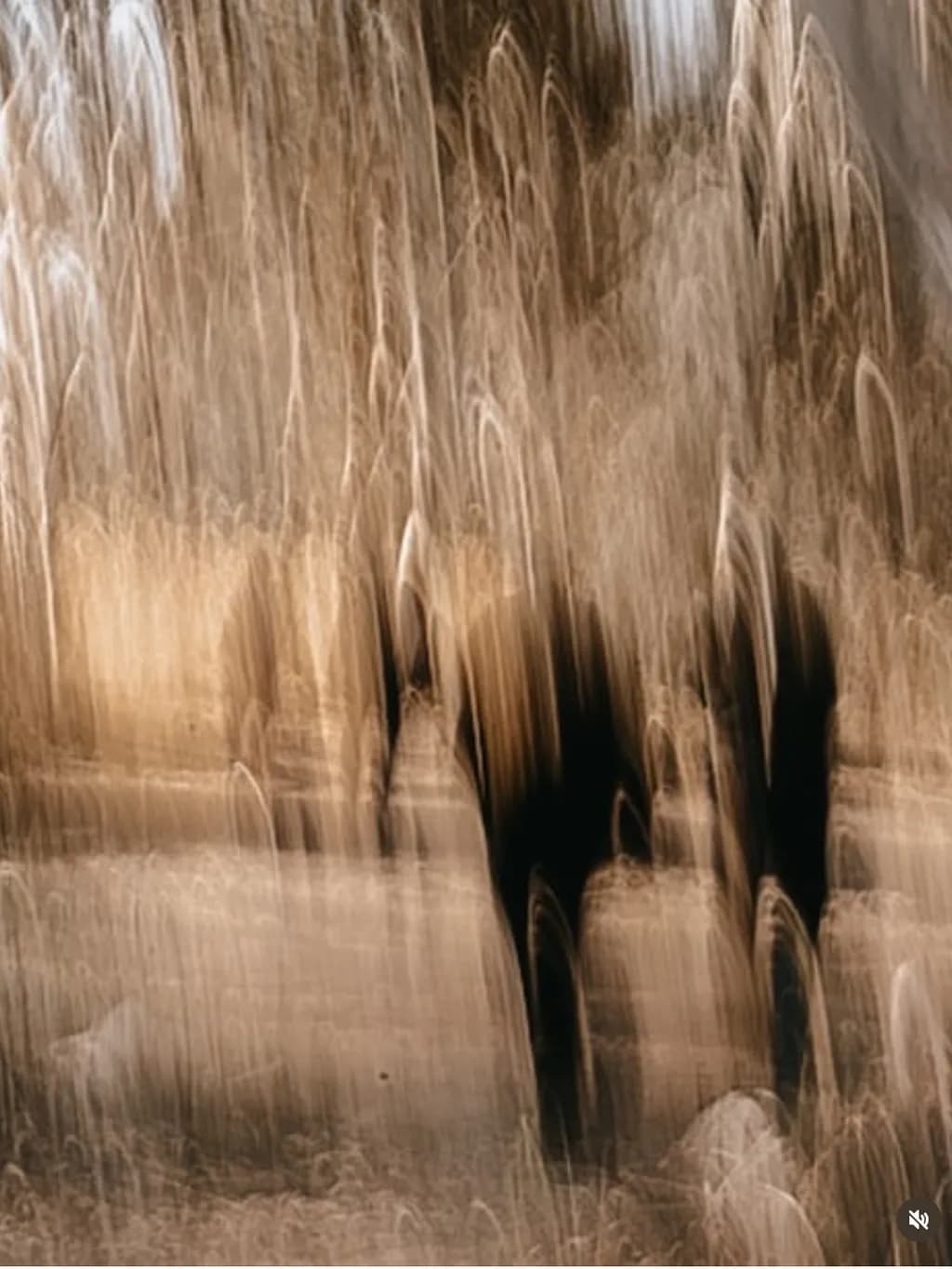 Faded Echoes
