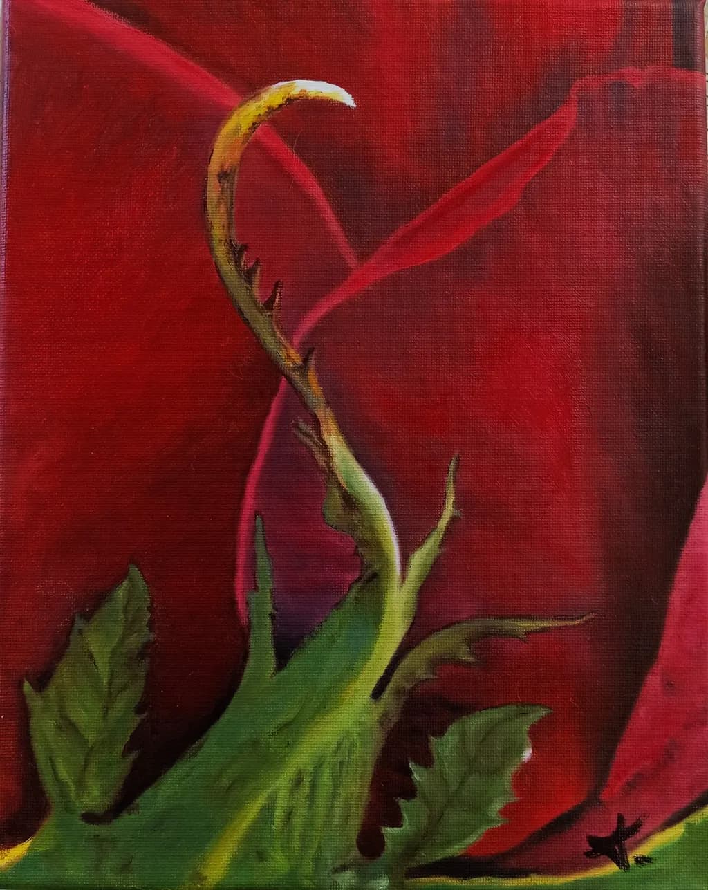 Whispers of Crimson: A Close-Up Journey into Nature's Elegance