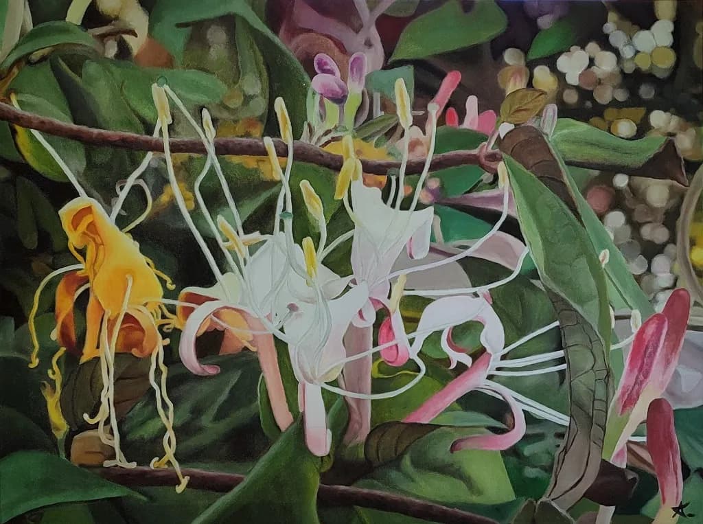 Honeysuckle Bloom