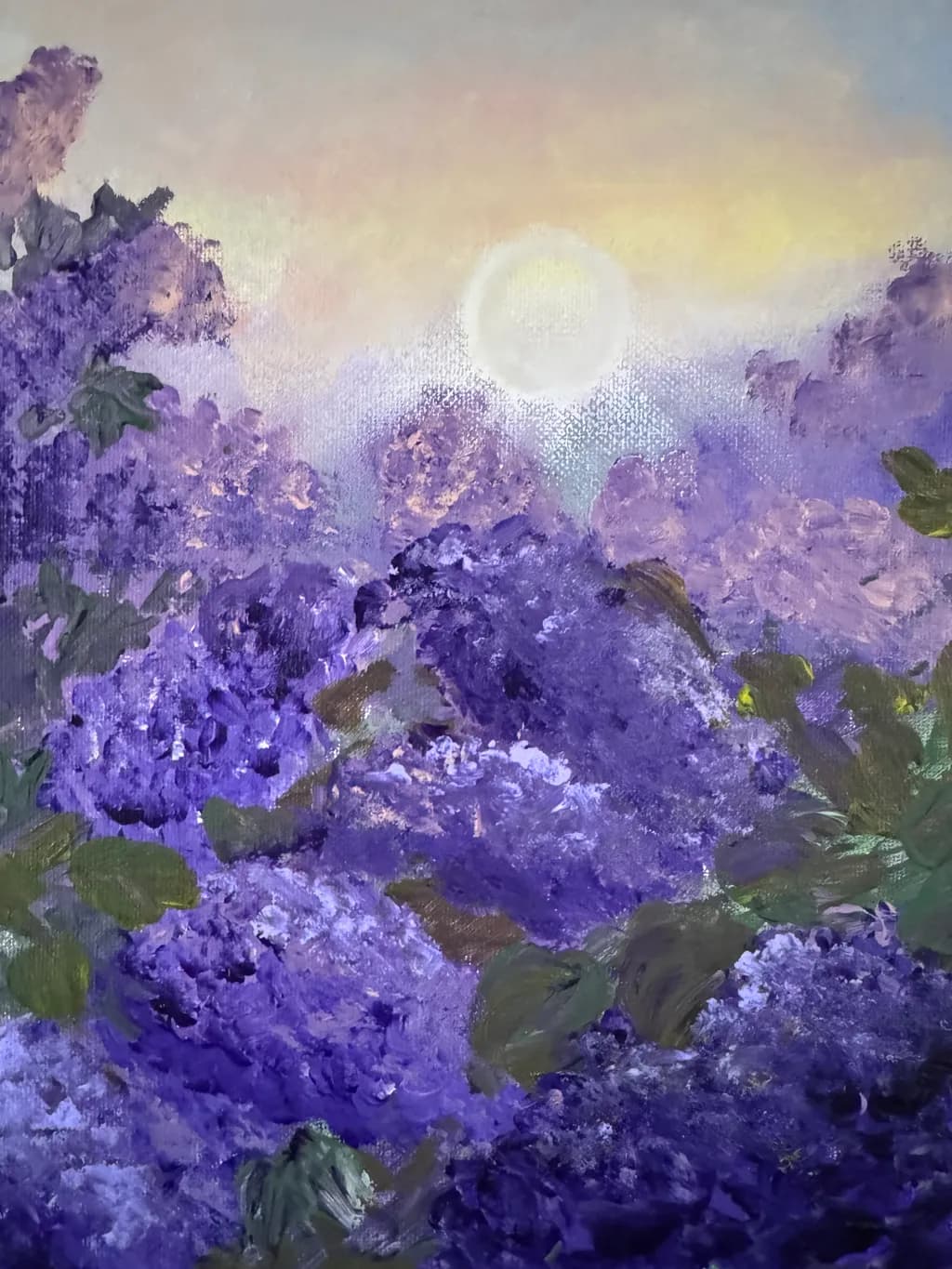 Whispers of Lavender: A Serene Sunrise Over Blooming Fields